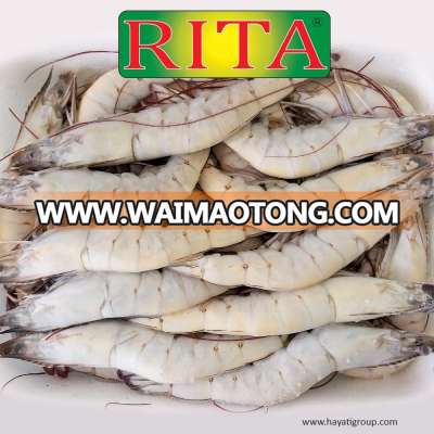 FROZEN VENNAMEI WHITE SHRIMP FARM RAISED FROM THAILAND