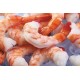 Fresh/Dried Frozen Black Tiger Shrimps,Vannamei Shrimp,White Shrimps and Pawns