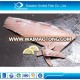 Seafood Company Frozen Tuna Fish Price