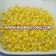 canned sweet kernel corn in brine